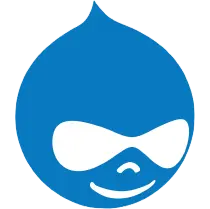 Drupal CMS Platform Expertise