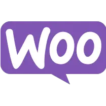 WooCommerce E-commerce Plugin Expertise